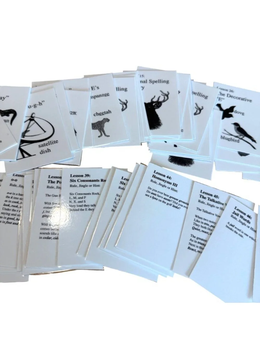 IEW Phonetic Zoo Spelling Zoo Cards Set Laminated Extra Complete